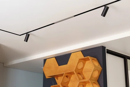 Двухуровневый натяжной потолок с трековым освещением